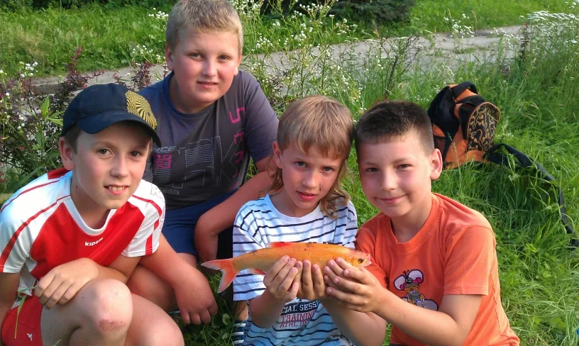 Szkółka 2012